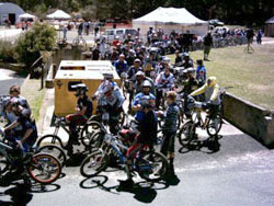 Down Hill Bikers